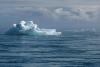 Scientists Warn of Ice-Free Arctic Summers by Mid-Century
