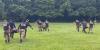 Belize Defence Force conducts First Responder training for FCD Rangers