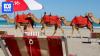 Broome tourism takes estimated $4m hit as flights axed
