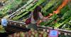Consumer prices in September rise to a pace not seen since January