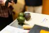 AI system predicts avocado ripeness with 92% accuracy, aims to cut food waste