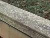 JUST IN: Frost Advisory issued for D.C. region