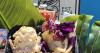 Hawaiian dishes and other food tidbits