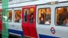London Underground mosquito's origins traced to ancient Egypt