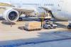 Why International Cold Chain Shipping Only Looks Simple