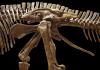 Scientists Discover First Dinosaur with Hooves, Rewriting Evolutionary History