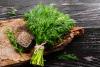 Science uncovers the power of dill in managing diabetes
