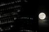 Does the full moon make us sleepless? A neurologist explains the science behind sleep, mood, and lunar myths