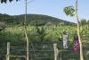 World AFP Global race for rare earths comes to Kenya's Mrima Hill