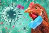 Rise in Bird Flu Cases in Germany