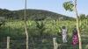 Kenya Joins Global Race for Rare Earths