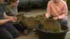 Capybara Café in Florida offers coffee, cuddles, and conservation for animal lovers