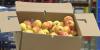 Food Pantry seeing record numbers amid SNAP benefits pause, seeking donations