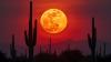 Arizona named best state in the U.S. to see the supermoon in November