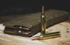 Lithuanian arms manufacturers criticize government: weapons should be purchased locally