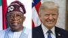 Trump should take ‘forceful action’ in Nigeria; Tinubu ignoring ongoing Christian genocide: U.S. Lawmaker