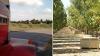 Record Pistachio Harvest and Freight Fraud’s Billion-Dollar Blind Spot