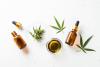 <![CDATA[Hamilton, Ontario Receives Newest Canna Cabana Retail Cannabis Location]]>