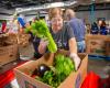 Connecticut to provide funding as federal food benefits end Nov. 1; It’s a fraction of the cost