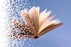 My Book Was Stolen by an AI Company. Why Does Suing Them Feel Wrong?