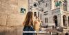 Citi / AAdvantage Executive vs. Globe: 2 great options for American Airlines fans