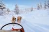 Best Lapland holiday deals 2025: Save on winter escapes to Finland