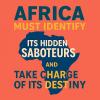 Africa Must Identify Its Hidden Saboteurs And Take Charge Of Its Destiny