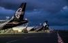 Air NZ, emergency services hit by global internet outage