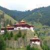 Colorectal Cancer Profile in Bhutan: Key Insights