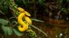 This Lush Costa Rican Park Is A Paradise For Herpetology Buffs