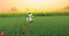 Agriculture must double to $1 trillion for India's $10-trillion dream: Experts