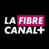 Canal Plus Fibre Entry Promising But Needs Regulatory Oversight