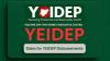 How To Win The YEIDEP ₦500,000 Business Grant: Step-by-Step Guide For Nigerian Youths