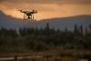 Researchers deploy high-tech drones for crucial task in forest: 'Could become a model'
