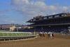 Breeders’ Cup not just prestigious – it’s a serious boost to San Diego economy
