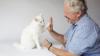 Cat Zen: Animal behaviourist Mark Vette’s new guide to a feline evolution