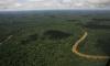 The 'road to nowhere' that cuts through the Amazon jungle and is costing British taxpayers £52million