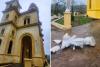 Cuba’s National Marian Shrine Damaged by Hurricane Melissa