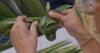 Guam Green Growth conducts weaving workshop
