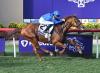 York Enters the Equation for Notable Speech; Canada Next for Opera Ballo