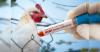 Hungary reports bird flu outbreak on farm, WOAH says