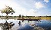 Reclaiming Botswana’s Tourism Wealth