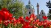 Vienna to end euro-a-day travel pass amid financial squeeze