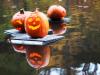 N.J. county to turn Halloween pumpkins green with recycling program