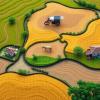 Agricultural Practices: A Key Factor in the Preservation or Degradation of Protected Areas