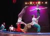 Palestinian circus school to tour Belgium in November with performances of Sarab