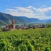 New report highlights 'enormous economic value' of Austrian wine