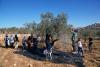 Israel deports two US Jews who volunteered to help Palestinians pick olives
