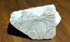 Chilean retiree returns Ancient Greek marble fragment his father took in the 1930s