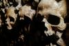 Tourist Mails Skull to Vienna Cathedral